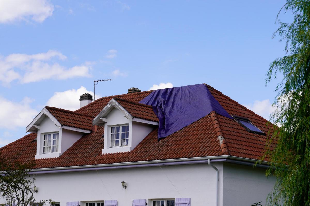 Managing Hail Damage to Your Business