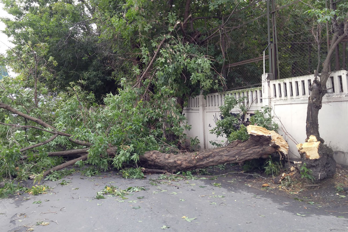 Five Things You Need to Know About Wind Damage Claims