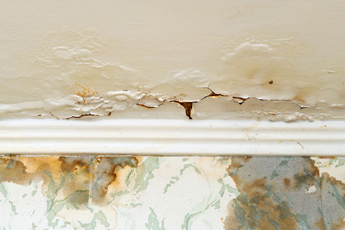 Get the Most Out of Your Water Damage Claim
