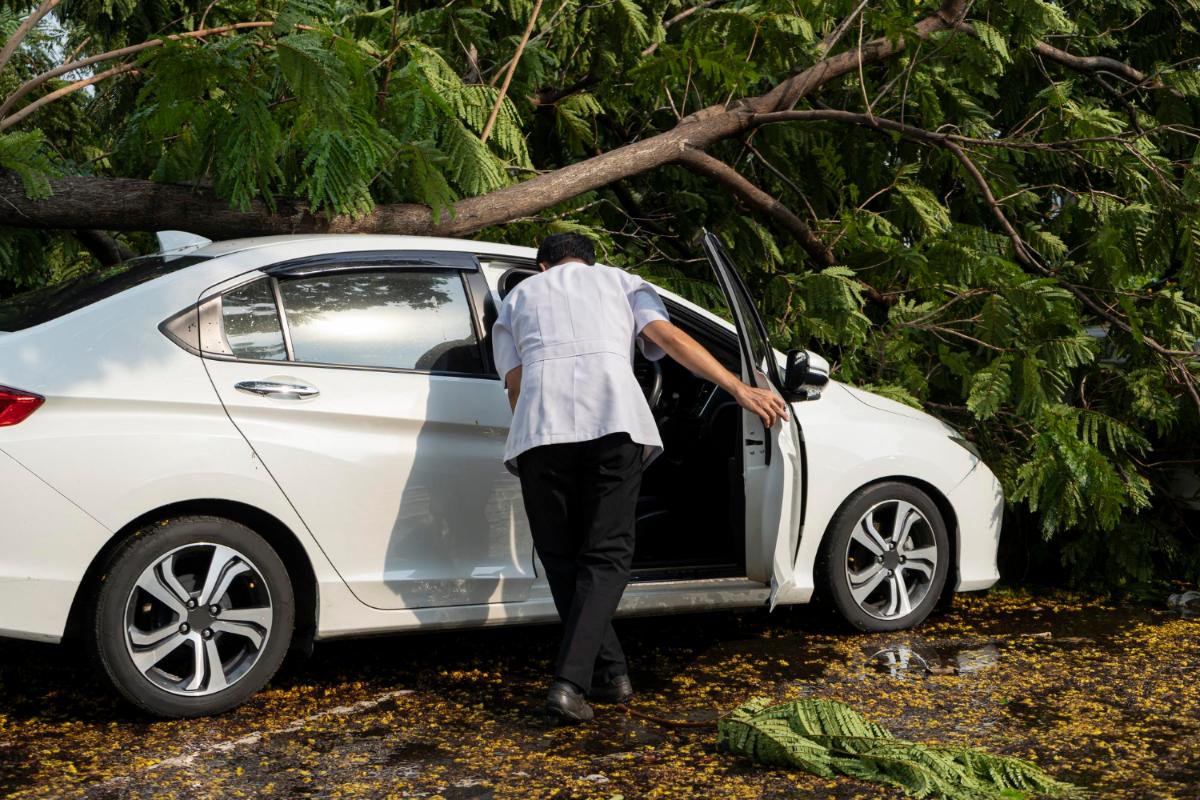 Five Things to Know Regarding Wind Damage Claims
