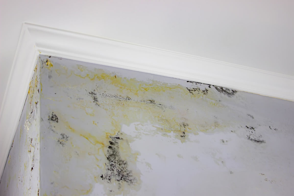 Ways to Spot Property Damage that May Seem Insignificant (But Isn't)