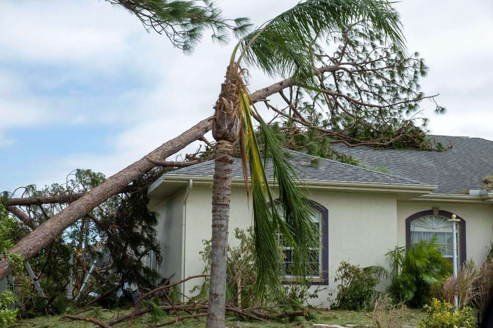 Hurricane Deductible: How It All Works