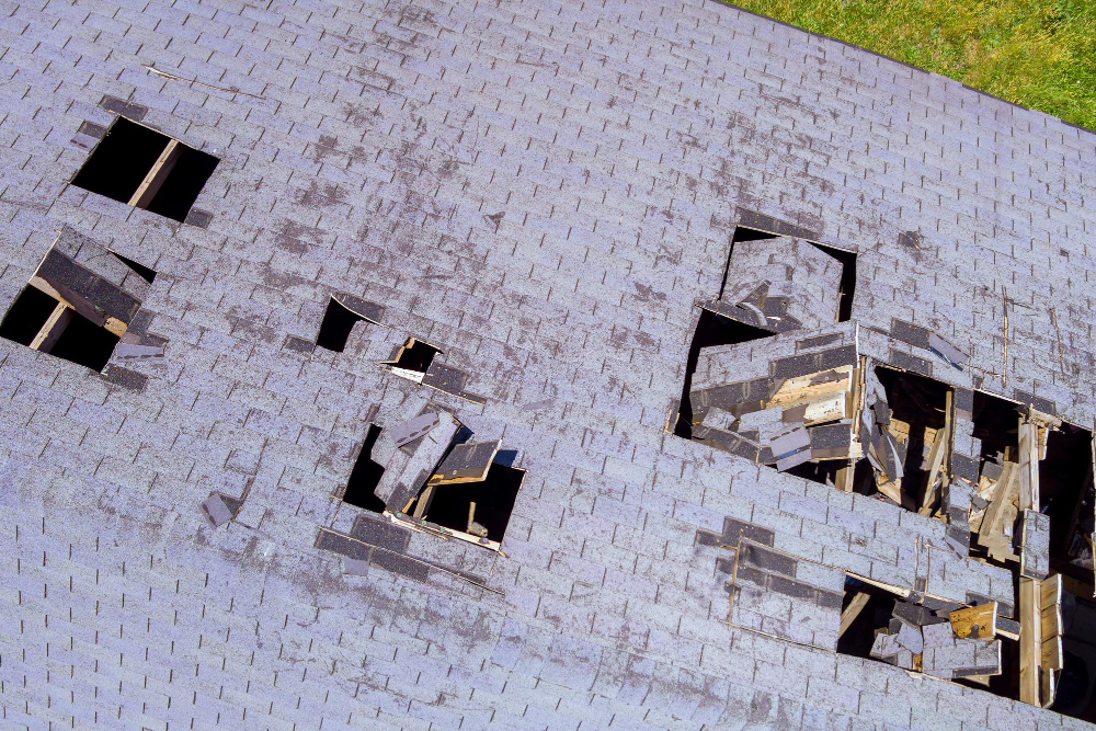 Ways to Address Your Roof Damage