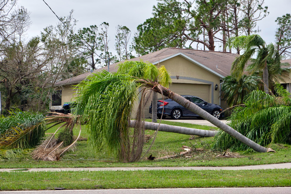 Tips when Filing A Claim For Wind Damage