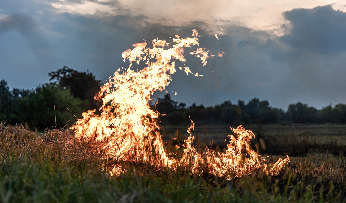 Wildfires and Climate Change: What You Need to Know About Insurance Claims & Coverage