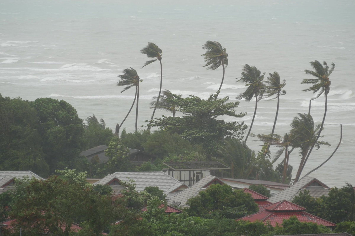 Understanding the Importance of Knowing the Exact Date of Loss on Wind Damage