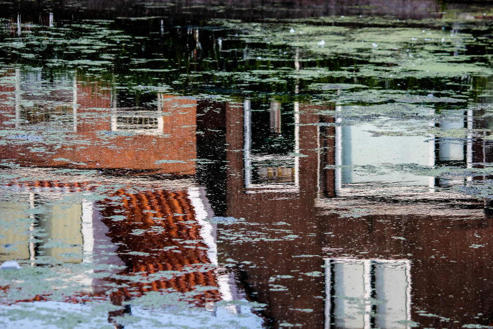 Navigating the Storm: Your Guide to Flood & Water Damage Insurance Claims