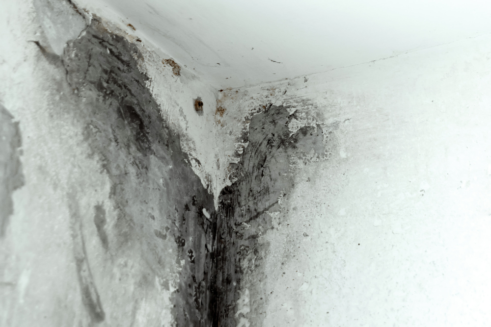 The Hidden Dangers Lurking in the Water-Damaged Home