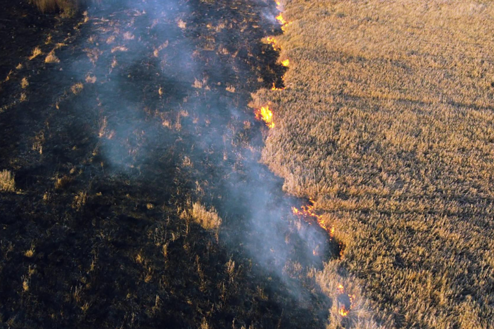 Understanding the Consequences of Wildfire Damage