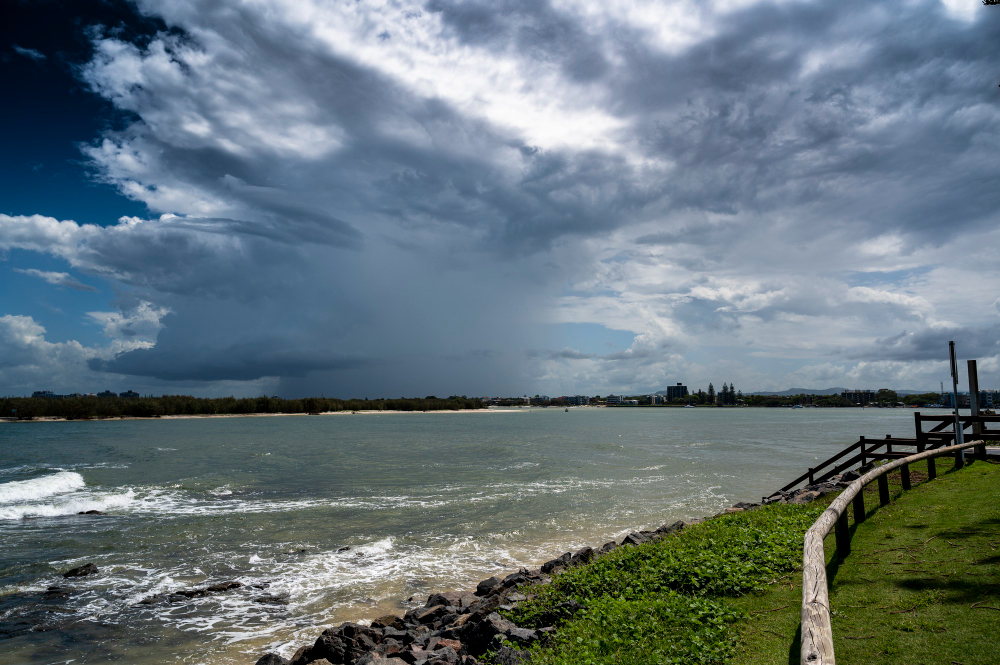 Understanding Wind Damage: How to Protect Your Property and Navigate Insurance Claims