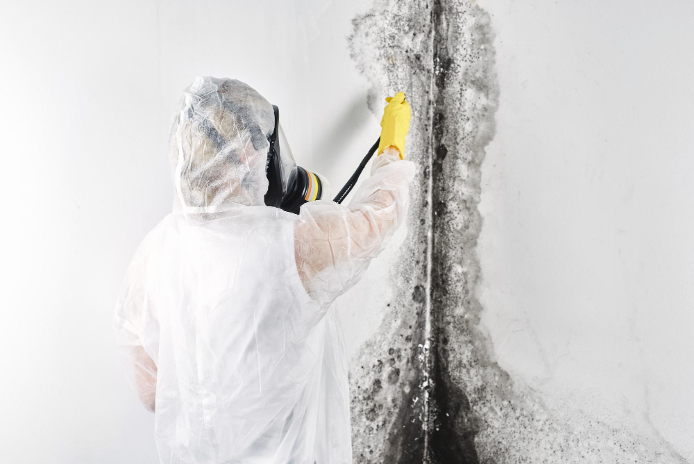 Mold Remediation & Prevention: Your Orlando Home Protection Guide