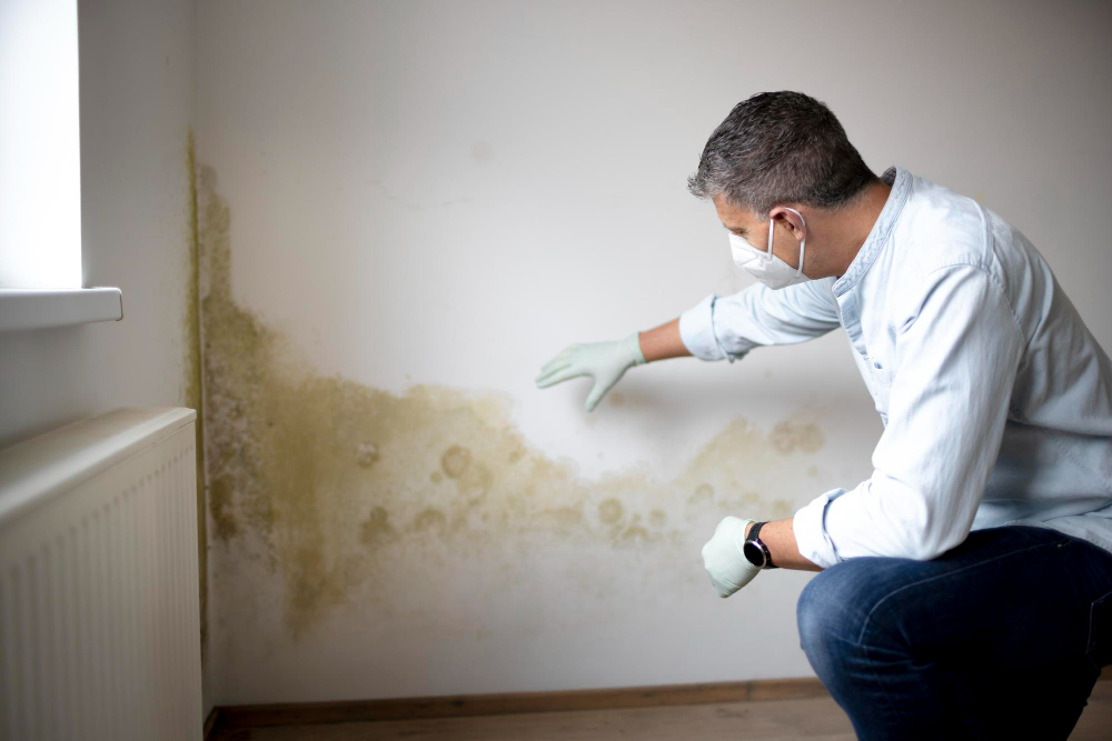 Mold Damage Insurance Claim Adjusting Best Practices