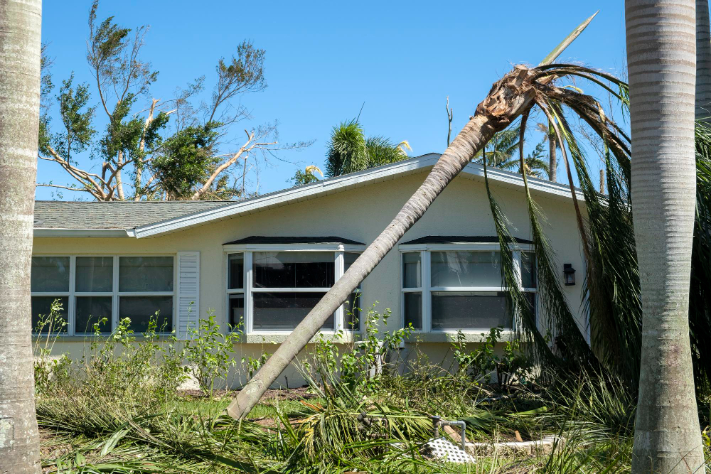 Hurricane Repair Estimates Made Simple: What Orlando Homeowners Need to Know