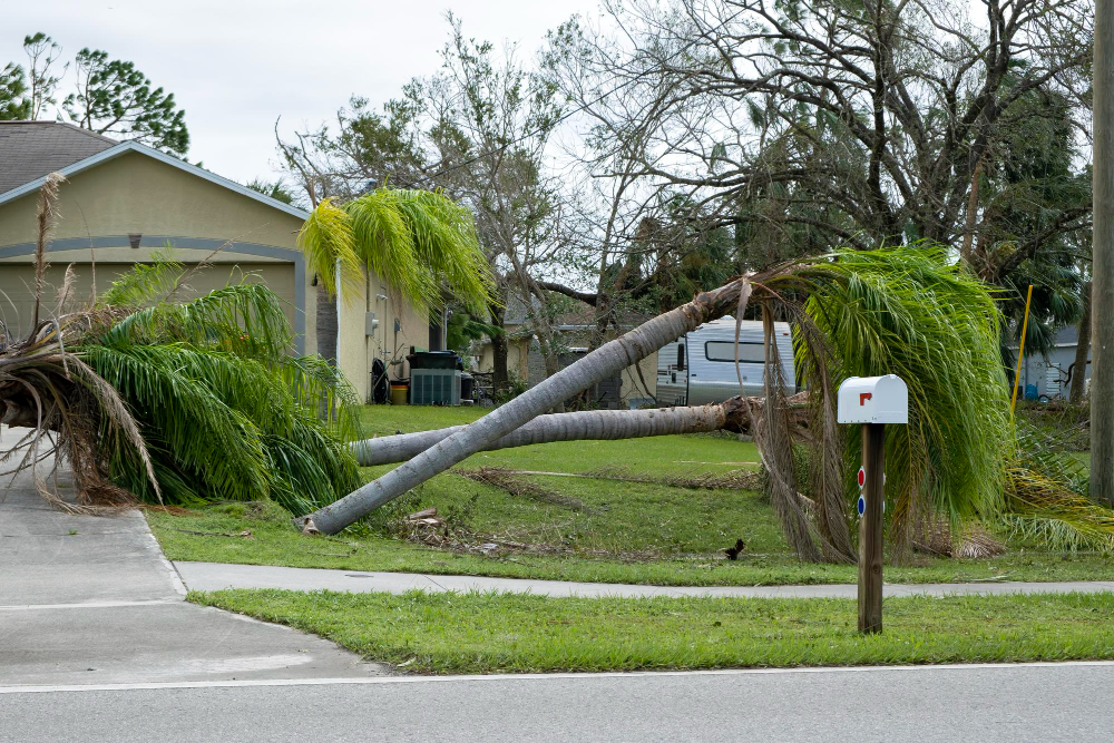 The Proper Way to Approach Storm Damage Restoration
