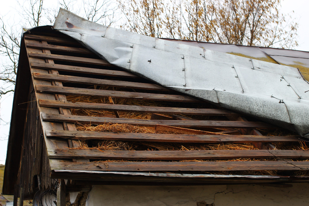Roof Damage 101: When to Call a Professional