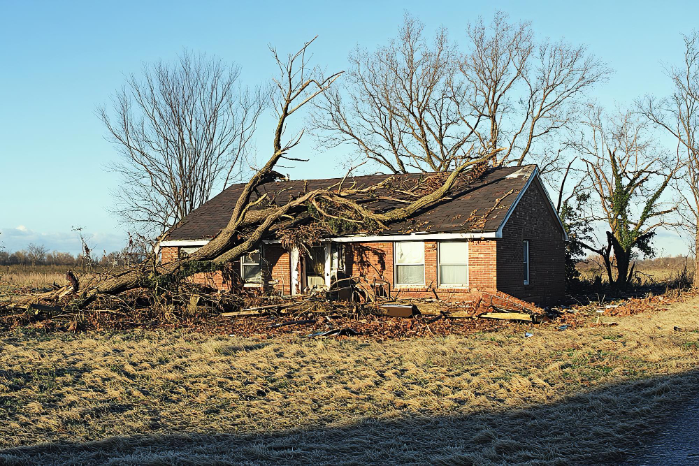 Top Reasons to Hire a Public Adjuster for Property Damage