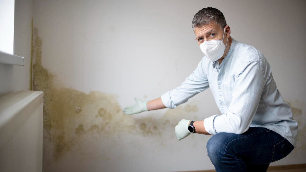 How Fast Does Mold Grow After Water Damage in Orlando?