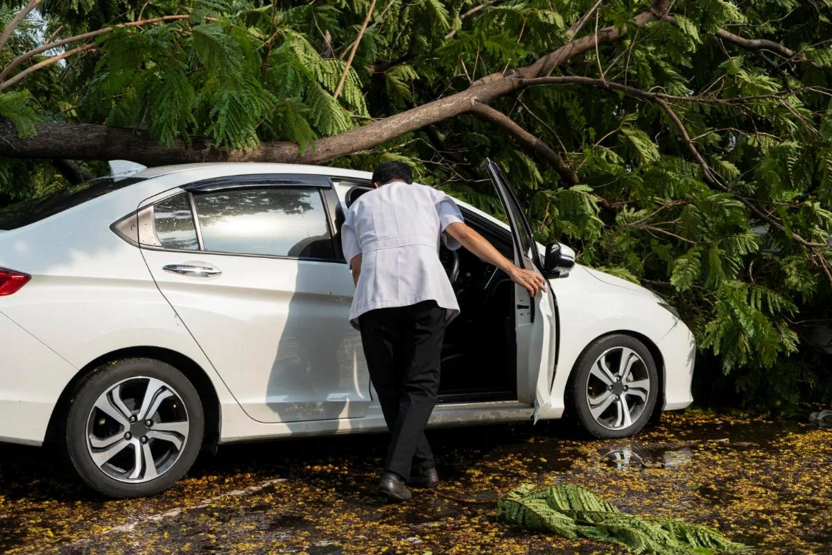 Five Things to Know Regarding Wind Damage Claims