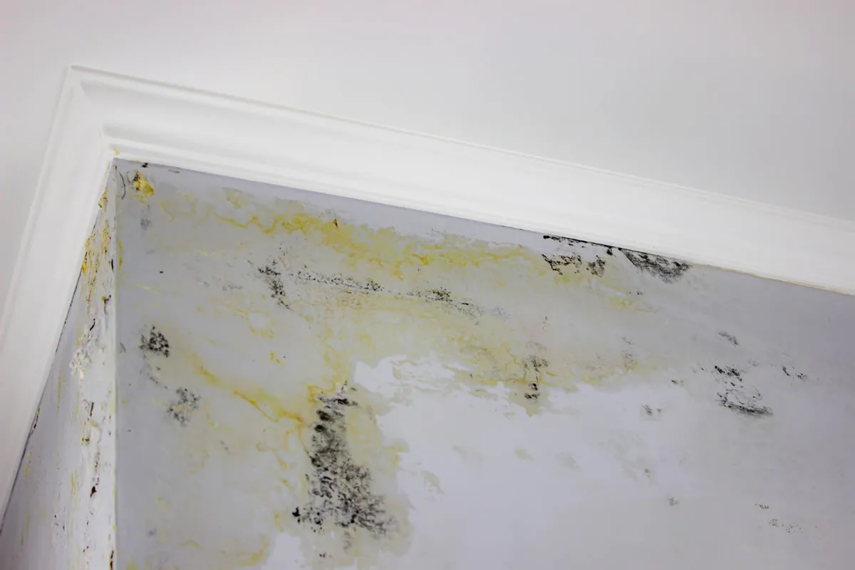Ways to Spot Property Damage that May Seem Insignificant (But Isn't)