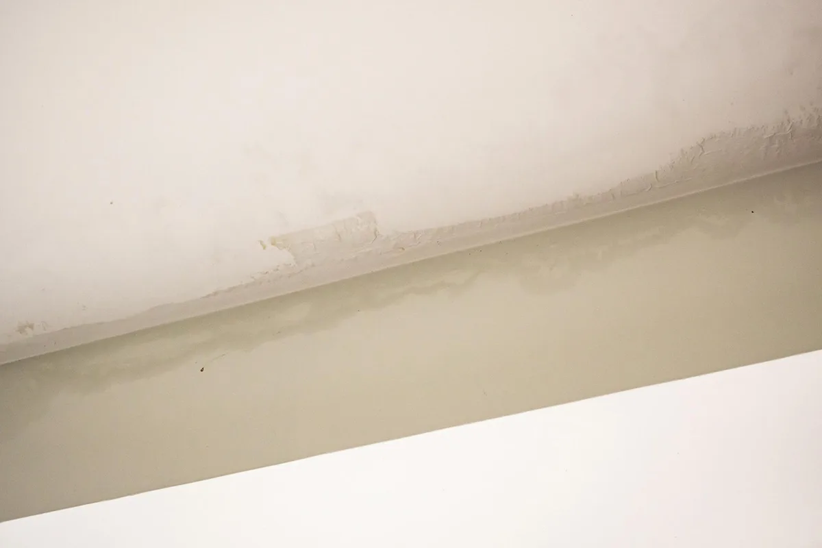What to Do in the Event of Roof Leakage and How Insurance Can Help