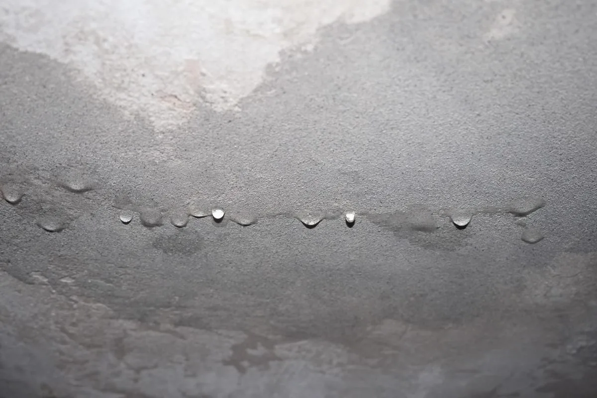 Things to Understand About Water Damage Claims