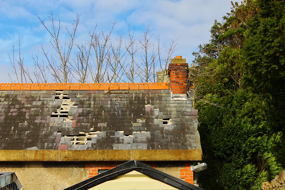 Roof Damage: Should You Repair or Replace?