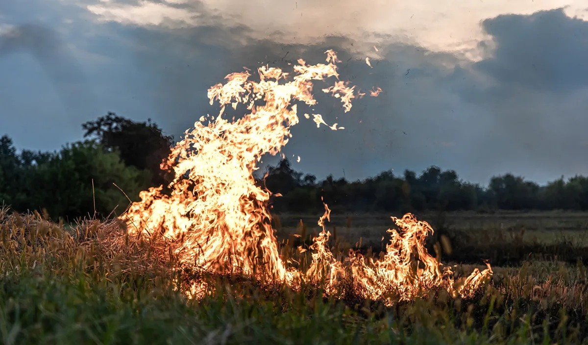 Wildfires and Climate Change: What You Need to Know About Insurance Claims & Coverage